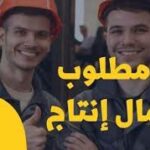 التقديم علي وظيفة مطلوب مدير امن في  المنصورة, مصر